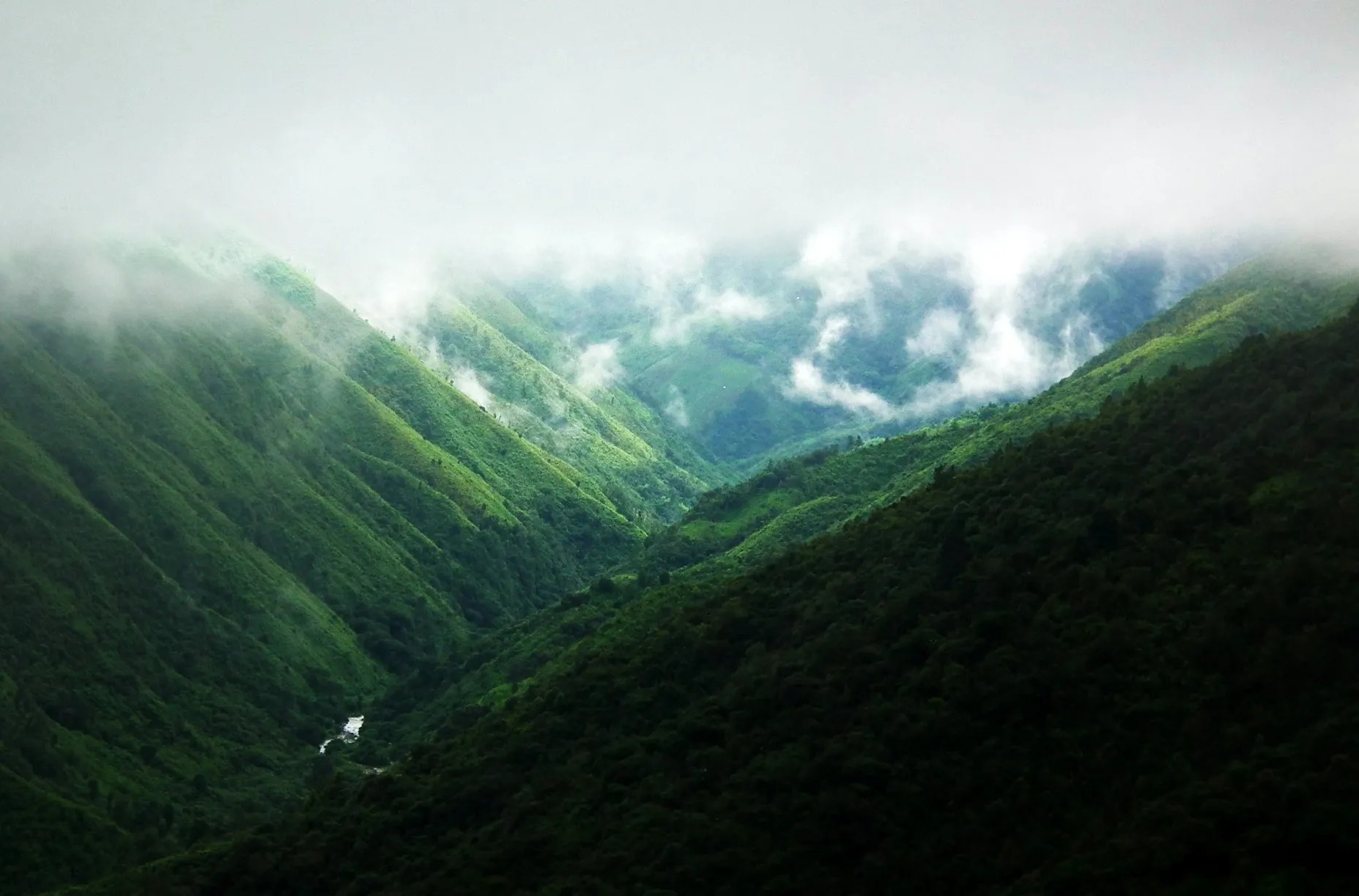 Essentials of Assam-Meghalaya